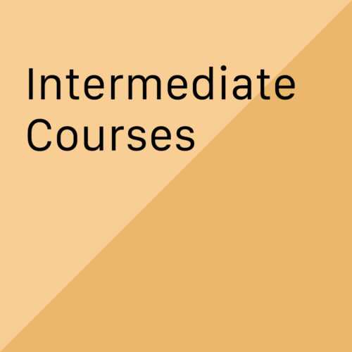 Intermediate courses