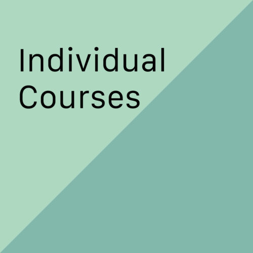 Individual Courses