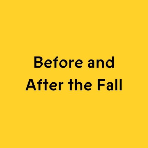 Before and After the Fall: Horizontal and Vertical Object Orientations in the Analysis of a Patient with Grievances