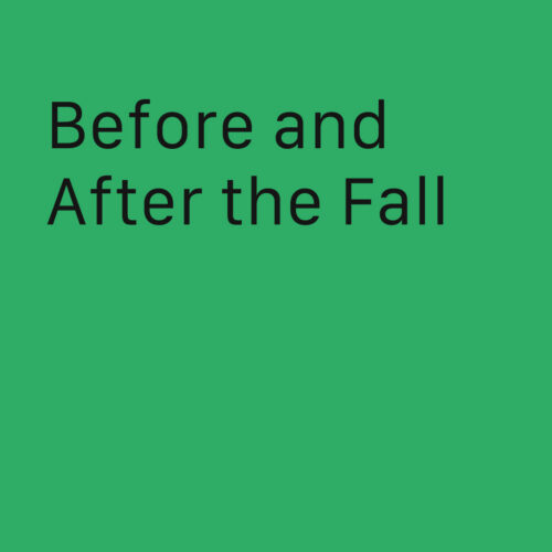 Before and After the Fall: Horizontal and Vertical Object Orientations in the Analysis of a Patient with Grievances