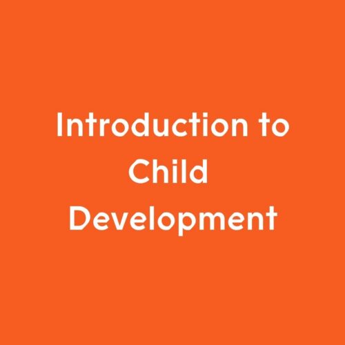 Introduction to Child Development