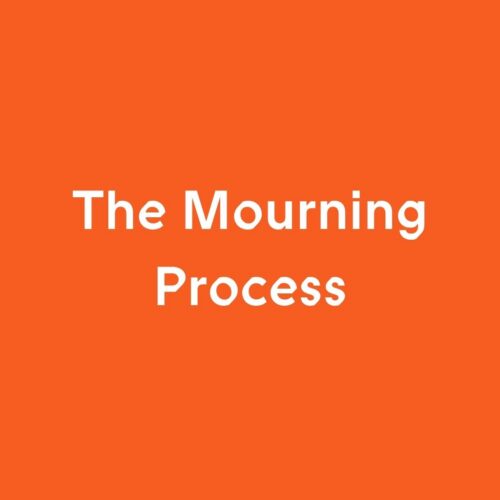 The Mourning Process and its Importance in Mental Illness: a Psychoanalytic understanding of psychiatric diagnosis and classification